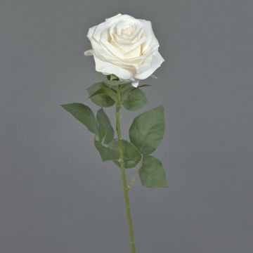 Rosa artificiale KAILIN, color crema, 65 cm, Ø 9 cm Rosa artificiale KAILIN, color crema, 65 cm, Ø 9 cm