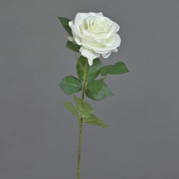 Rosa artificiale KAILIN, bianca, 65 cm, Ø 9 cm Rosa artificiale KAILIN, bianca, 65 cm, Ø 9 cm