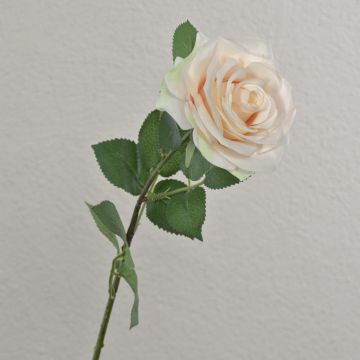 Rosa artificiale KAILIN, rosa crema, 65 cm, Ø 9 cm Rosa artificiale KAILIN, rosa crema, 65 cm, Ø 9 cm