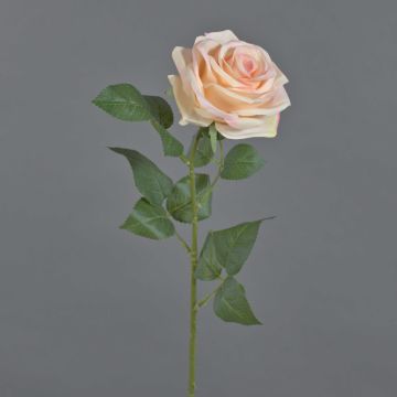 Rosa artificiale KAILIN, rosa-crema, 65 cm, Ø 9 cm Rosa artificiale KAILIN, rosa-crema, 65 cm, Ø 9 cm