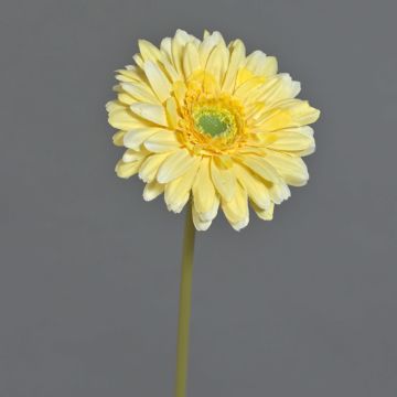 Fiore artificiale Gerbera QIUDONG, giallo, 50 cm, Ø 12 cm
