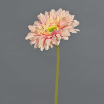 Fiore artificiale Gerbera QIUDONG, rosa pesca, 50 cm, Ø 12 cm Fiore artificiale Gerbera QIUDONG, rosa pesca, 50 cm, Ø 12 cm