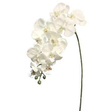 Ramo artificiale di orchidea Phalaenopsis JUANRU, bianco, 100 cm Ramo artificiale di orchidea Phalaenopsis JUANRU, bianco, 100 cm