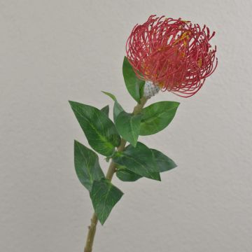 Fiore artificiale a forma di cuscino porta spilli Protea XIFANG, rosso, 75 cm, Ø 10 cm