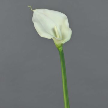 Fiore artificiale Zantedeschia ZHILONG, bianco, 55 cm, 10x16 cm Fiore artificiale Zantedeschia ZHILONG, bianco, 55 cm, 10x16 cm