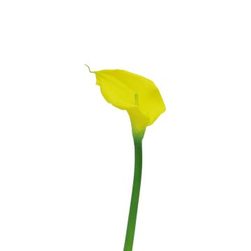 Fiore artificiale Zantedeschia ZHILONG, giallo, 55 cm, 10x16 cm Fiore artificiale Zantedeschia ZHILONG, giallo, 55 cm, 10x16 cm