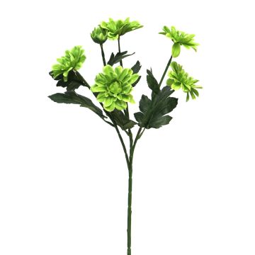 Ramo decorativo di crisantemo LONGBAO, verde, 60 cm Ramo decorativo di crisantemo LONGBAO, verde, 60 cm