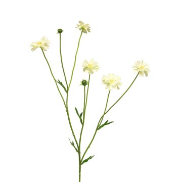 Ramo artificiale di centaurea TAOTAO, color crema, 65 cm, Ø 4-5 cm Ramo artificiale di centaurea TAOTAO, color crema, 65 cm, Ø 4-5 cm