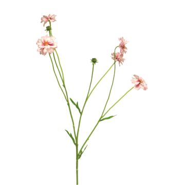 Ramo artificiale di centaurea TAOTAO, rosa-rosa, 65 cm, Ø 4-5 cm Ramo artificiale di centaurea TAOTAO, rosa-rosa, 65 cm, Ø 4-5 cm