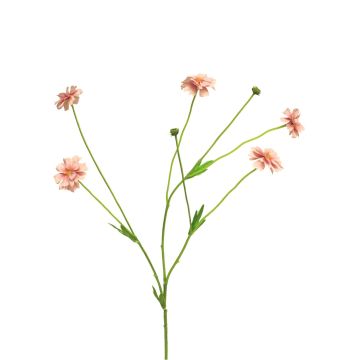 Ramo artificiale di centaurea TAOTAO, rosa, 65 cm, Ø 4-5 cm Ramo artificiale di centaurea TAOTAO, rosa, 65 cm, Ø 4-5 cm