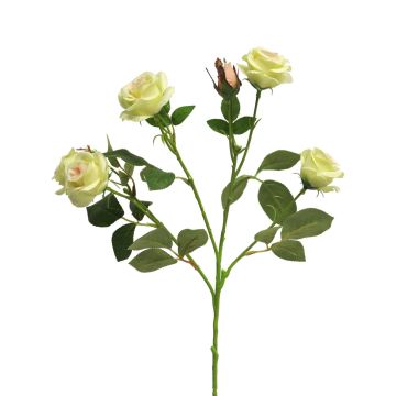 Ramo decorativo di rose SHANZHA, verde chiaro, 70 cm, Ø 6,5-7 cm