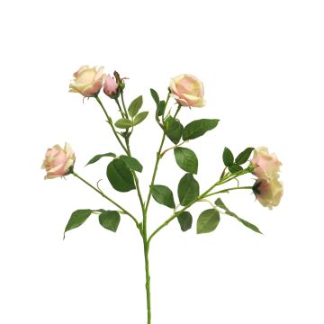 Ramo di rosa decorativo SHANZHA, rosa-crema, 70 cm, Ø 6,5-7 cm