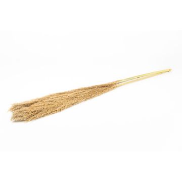 Fascio di canne secche DONJETA, naturale, 115-120 cm, Ø 15 cm