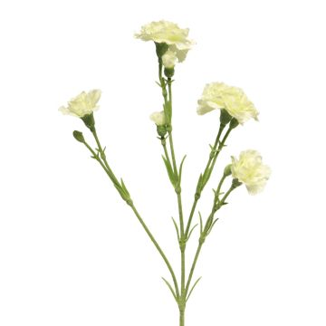 Fiore decorativo garofano AHONG, color crema, 60 cm, Ø 6-7 cm Fiore decorativo garofano AHONG, color crema, 60 cm, Ø 6-7 cm