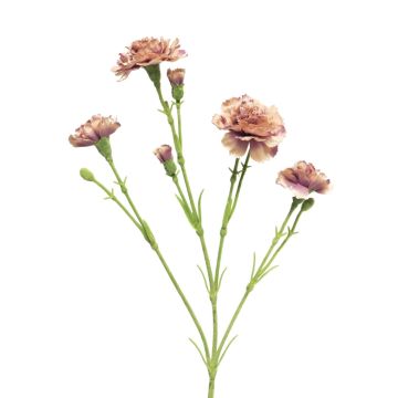 Fiore decorativo garofano AHONG, rosa-lilla, 60 cm, Ø 6-7 cm Fiore decorativo garofano AHONG, rosa-lilla, 60 cm, Ø 6-7 cm