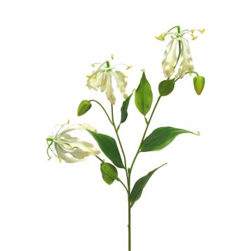 Ramo decorativo "Corona di gloria" XIANGTING, color crema, 85 cm