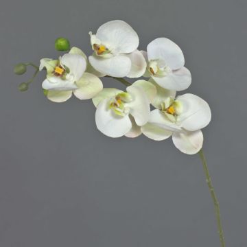 Ramo decorativo di orchidea Phalaenopsis SONGYA, bianco-verde, 50 cm, Ø 6-7 cm