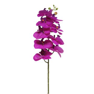 Ramo decorativo di orchidea Phalaenopsis SONGYA, rosa, 75 cm Ramo decorativo di orchidea Phalaenopsis SONGYA, rosa, 75 cm