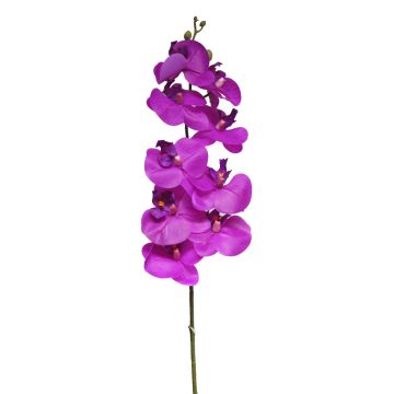 Ramo decorativo di orchidea Phalaenopsis SONGYA, rosa shocking, 105 cm Ramo decorativo di orchidea Phalaenopsis SONGYA, rosa shocking, 105 cm