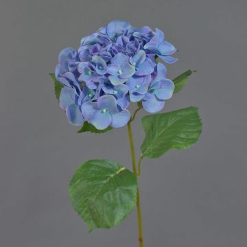 Fiore decorativo ortensia MEITAO, blu-lilla, 70cm, Ø16cm Fiore decorativo ortensia MEITAO, blu-lilla, 70cm, Ø16cm