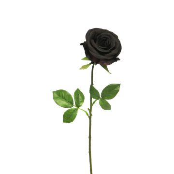 Rosa artificiale RUYUN, nera, 45 cm, Ø 8 cm Rosa artificiale RUYUN, nera, 45 cm, Ø 8 cm