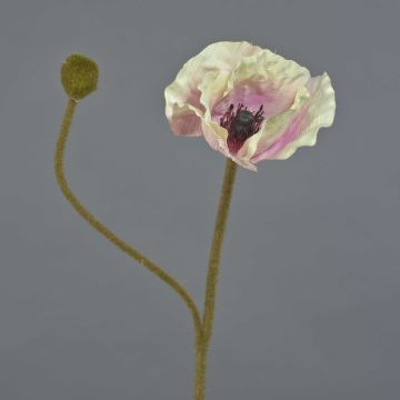 Fiore decorativo papavero YILAN, rosa-bianco, 60 cm, Ø 12 cm Fiore decorativo papavero YILAN, rosa-bianco, 60 cm, Ø 12 cm