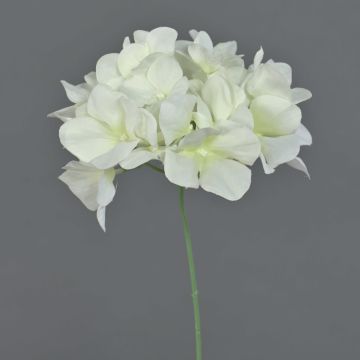 Fiore artificiale ortensia FUHUA, color crema, 23 cm, Ø 14 cm Fiore artificiale ortensia FUHUA, color crema, 23 cm, Ø 14 cm