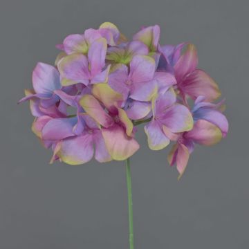 Fiore artificiale ortensia FUHUA, viola-rosa-blu-verde, 23 cm, Ø 14 cm Fiore artificiale ortensia FUHUA, viola-rosa-blu-verde, 23 cm, Ø 14 cm