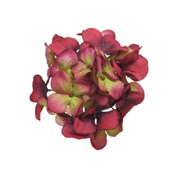 Fiore artificiale ortensia FUHUA, rosso-verde, 23 cm, Ø 14 cm Fiore artificiale ortensia FUHUA, rosso-verde, 23 cm, Ø 14 cm