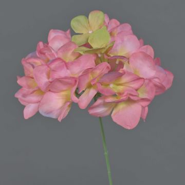 Fiore artificiale ortensia FUHUA, rosa-verde, 23 cm, Ø 14 cm Fiore artificiale ortensia FUHUA, rosa-verde, 23 cm, Ø 14 cm