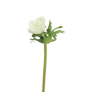 Fiore decorativo Anemone BOYANG, bianco, 35cm, Ø6cm Fiore decorativo Anemone BOYANG, bianco, 35cm, Ø6cm