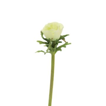 Fiore decorativo anemone BOYANG, verde chiaro, 35cm, Ø6cm Fiore decorativo anemone BOYANG, verde chiaro, 35cm, Ø6cm