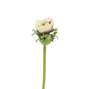 Fiore decorativo Anemone BOYANG, crema-viola, 35cm, Ø6cm Fiore decorativo Anemone BOYANG, crema-viola, 35cm, Ø6cm