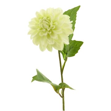 Fiore artificiale dalia WANRU, color crema, 50 cm, Ø 9 cm Fiore artificiale dalia WANRU, color crema, 50 cm, Ø 9 cm