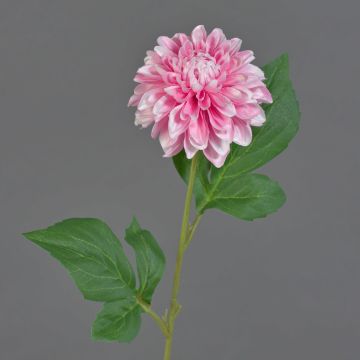 Fiore artificiale dalia WANRU, rosa-bianco, 50 cm, Ø 9 cm Fiore artificiale dalia WANRU, rosa-bianco, 50 cm, Ø 9 cm