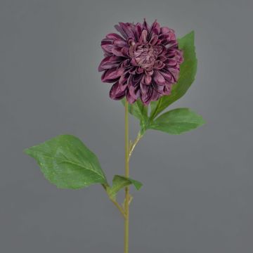 Fiore artificiale dalia WANRU, viola scuro, 50 cm, Ø 9 cm Fiore artificiale dalia WANRU, viola scuro, 50 cm, Ø 9 cm