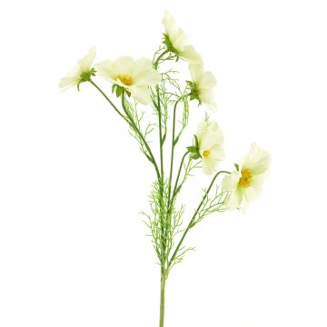 Ramo in plastica di cosmea YUNIAN, color crema, 75 cm Ramo in plastica di cosmea YUNIAN, color crema, 75 cm