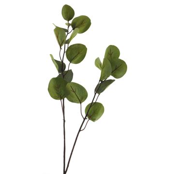Ramo di eucalipto artificiale AOSHAN, verde, 80 cm Ramo di eucalipto artificiale AOSHAN, verde, 80 cm