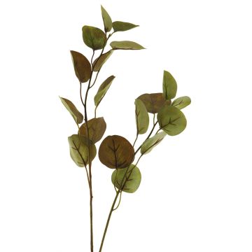 Ramo di eucalipto artificiale AOSHAN, marrone-verde, 80 cm Ramo di eucalipto artificiale AOSHAN, marrone-verde, 80 cm