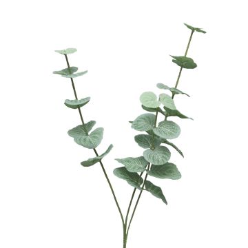 Ramo decorativo di eucalipto FENYU, verde-bianco, 60 cm