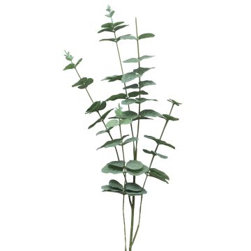 Ramo decorativo di eucalipto FENYU, verde-bianco, 90 cm Ramo decorativo di eucalipto FENYU, verde-bianco, 90 cm