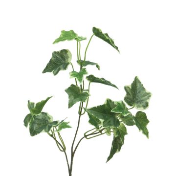 Ramo artificiale di edera LANSHUO, verde-bianco, 55 cm Ramo artificiale di edera LANSHUO, verde-bianco, 55 cm