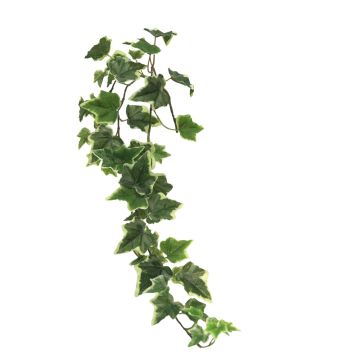 Ramo di edera artificiale LANSHUO, verde-bianco, 80 cm Ramo di edera artificiale LANSHUO, verde-bianco, 80 cm