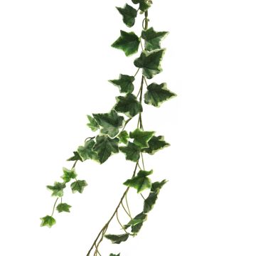 Ghirlanda artificiale di edera LANSHUO, verde-bianco, 180 cm Ghirlanda artificiale di edera LANSHUO, verde-bianco, 180 cm