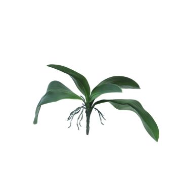 Foglie decorative di orchidea Phalaenopsis WUJUAN con radici aeree, 35 cm