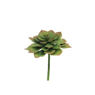 Echeveria morani XINYA in schiuma sintetica su bastoncino, verde-rosso, 17 cm Echeveria morani XINYA in schiuma sintetica su bastoncino, verde-rosso, 17 cm