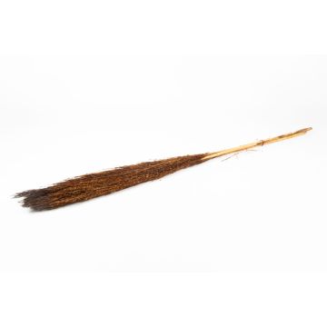 Fascio di canne secche DONJETA, marrone, 115-120 cm, Ø 15 cm