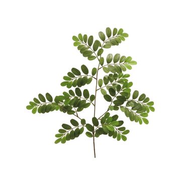 Ramo in plastica di robinia WENLIN, verde, 70 cm Ramo in plastica di robinia WENLIN, verde, 70 cm