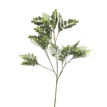 Ramo di robinia in plastica WENLIN, grigio-verde, 100 cm Ramo di robinia in plastica WENLIN, grigio-verde, 100 cm
