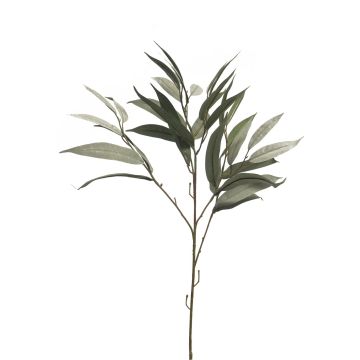 Ramo artificiale di mango WENLIAN, verde-grigio, 75 cm